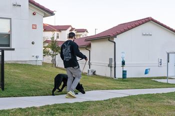 Pet friendly